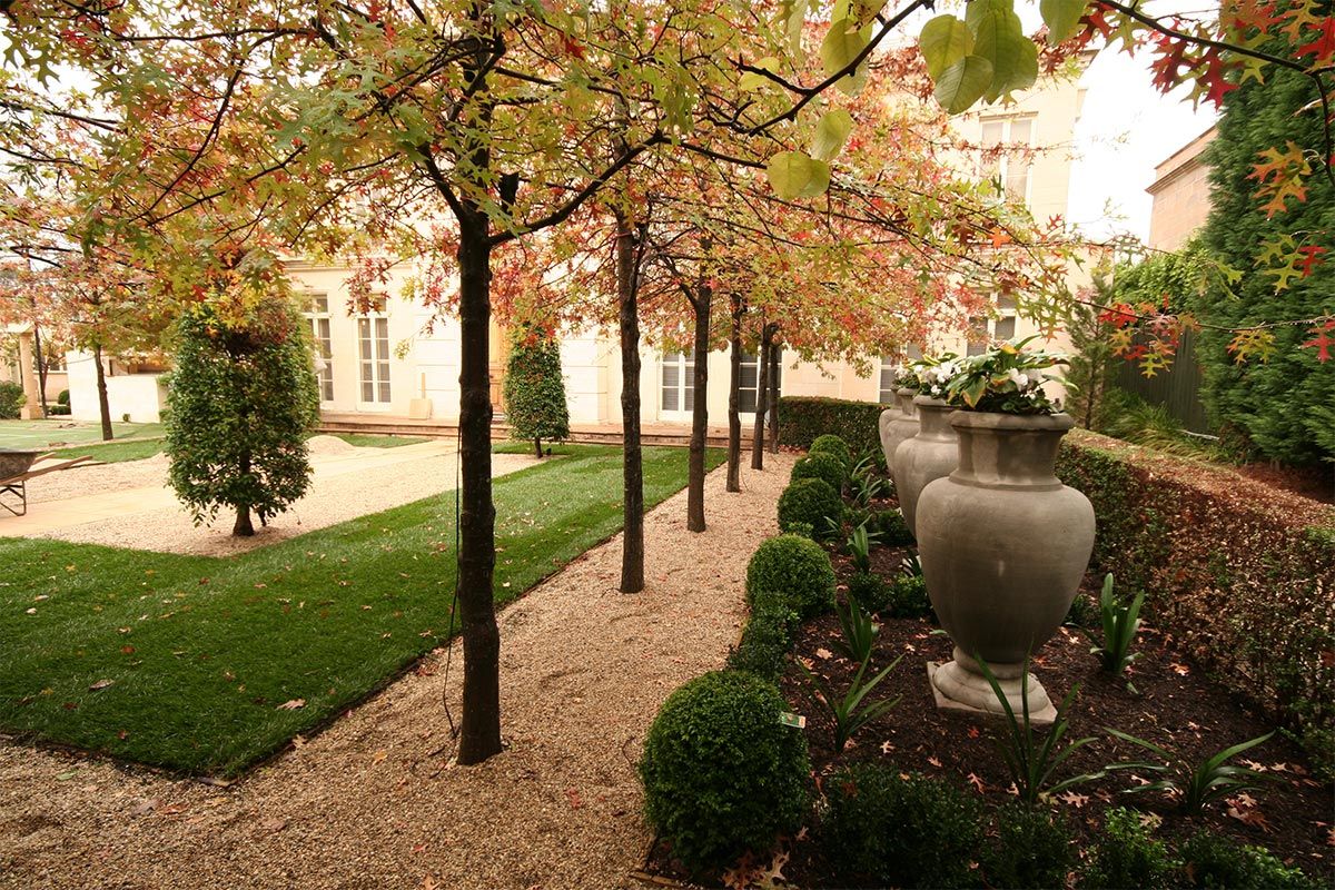 Michael Byrne landscaped garden 