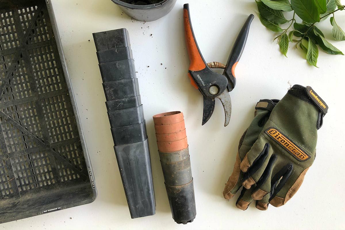 Michael Byrne gardening tools  