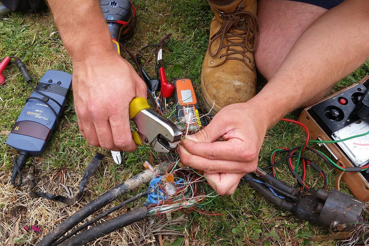 Omega Packaging for Wholesale Distributor