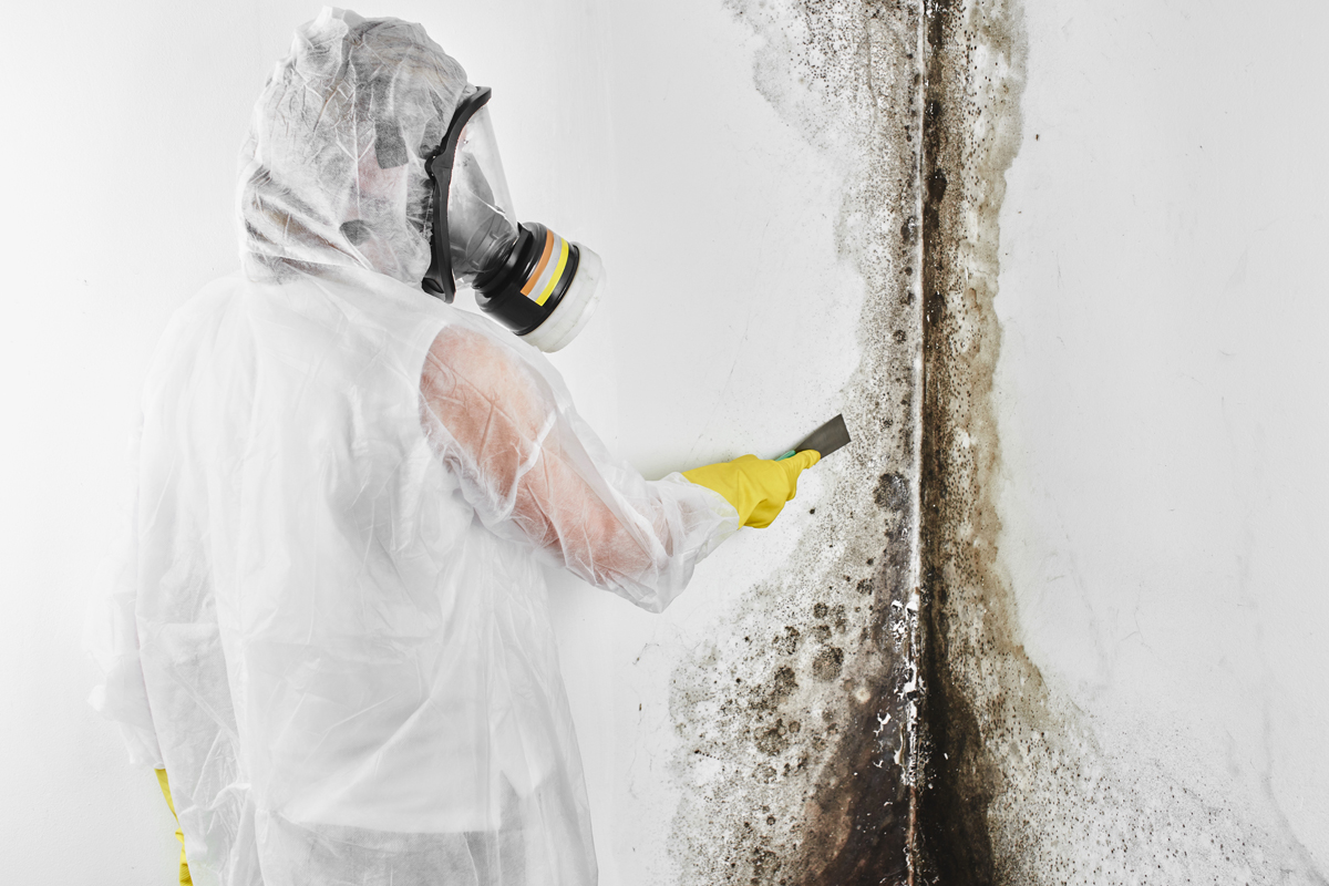 DMA Damage Mitigation Advisory Mold Damage