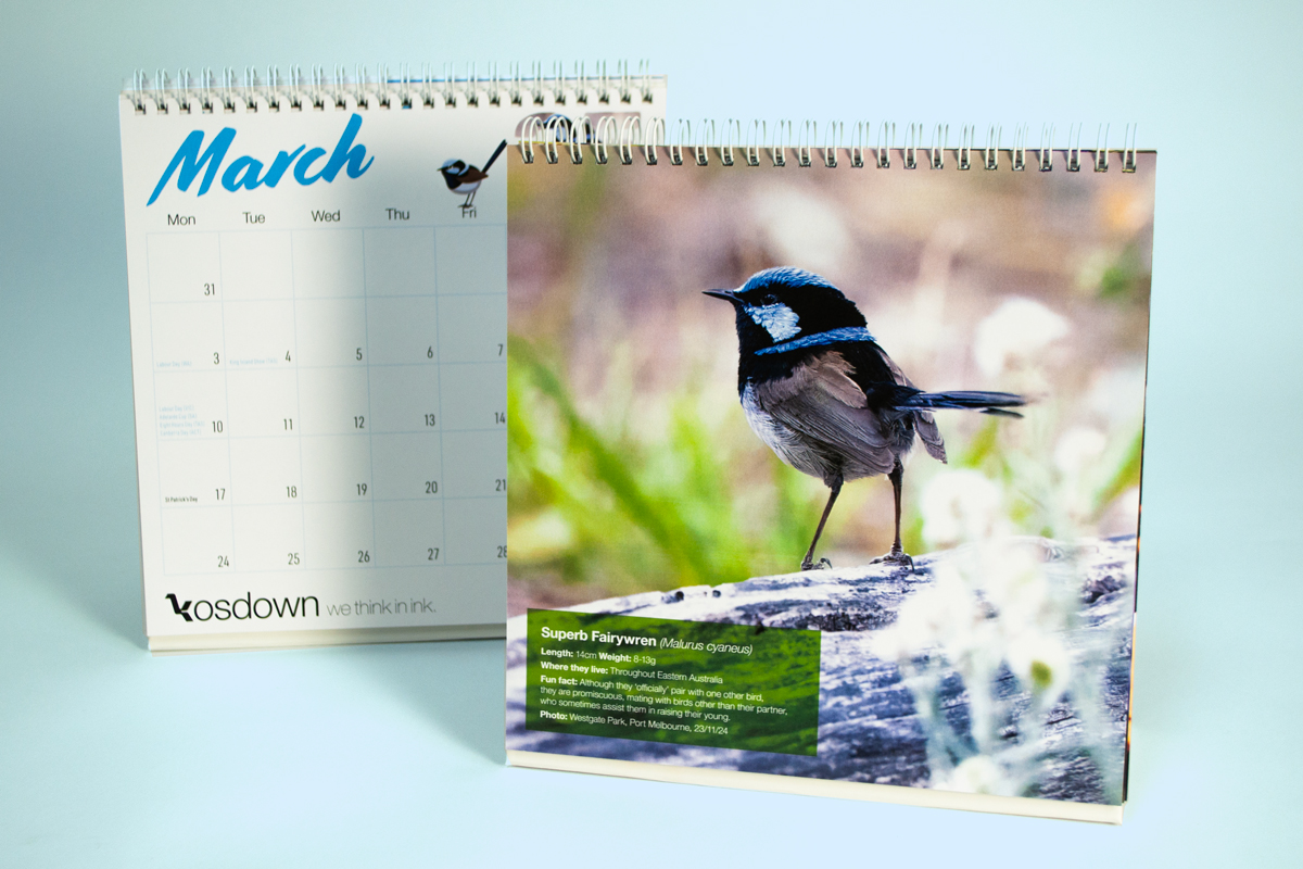 Kosdown calendar