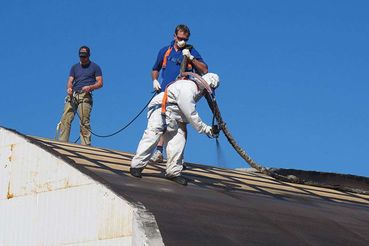 Mr Water Proofing Services