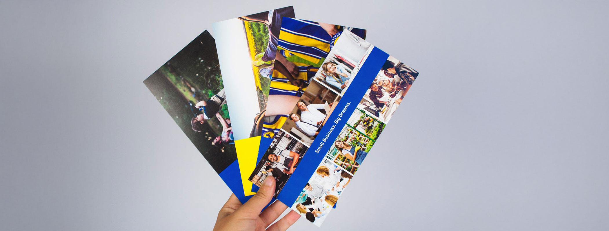 Parmate brochures